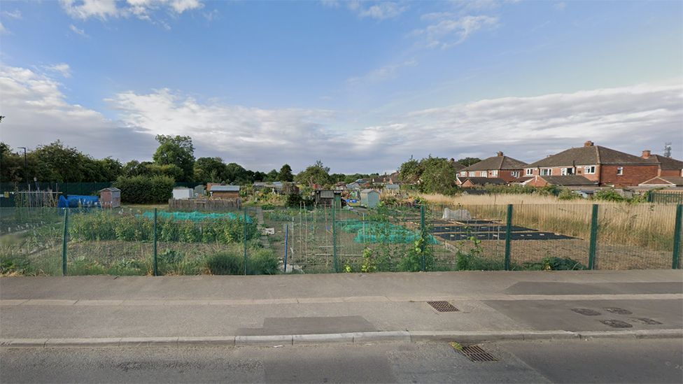 Saltings Allotments