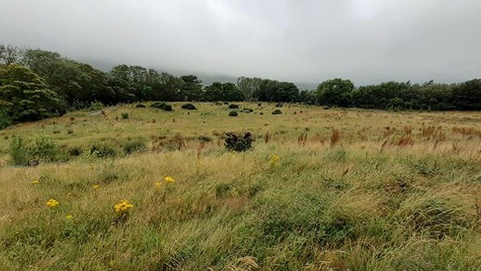 Meadow at temporary storage site