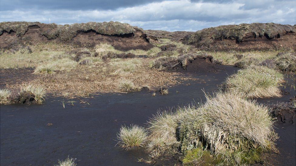 Peat moor, Yorkshire