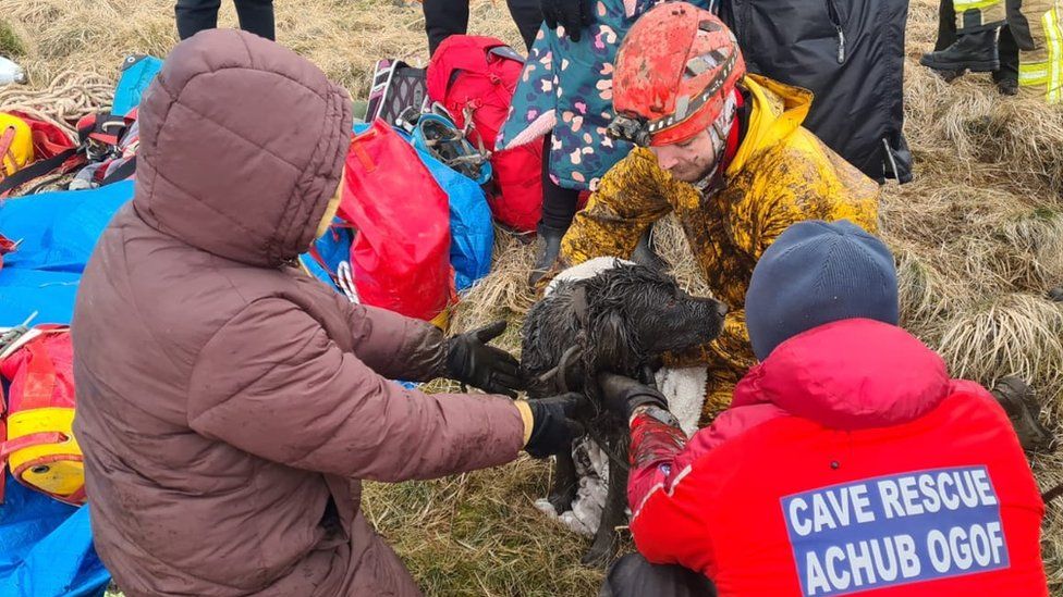 Benni became stuck after slipping through a 30cm gap in the ground