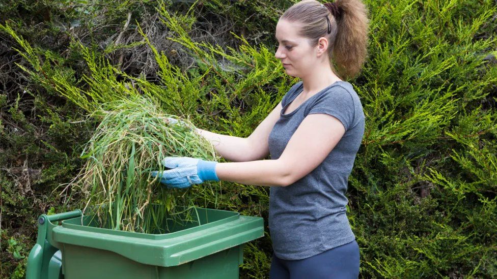 A woman uses a green garden bin