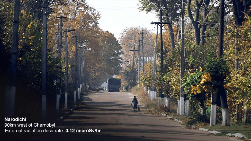 Narodichi, Ukraine