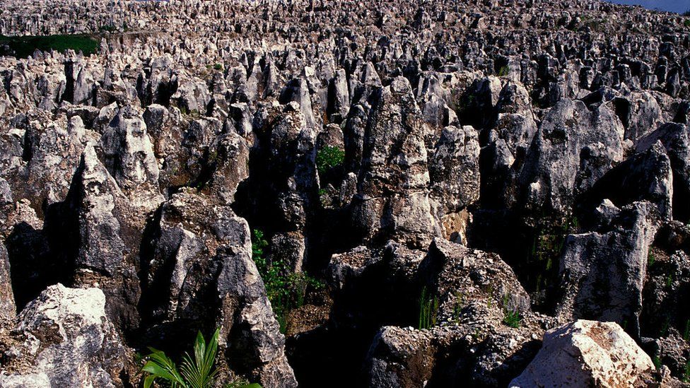 A barren terrain of limestone pinnacles - the remains of an exhausted phosphate mining site on Nauru