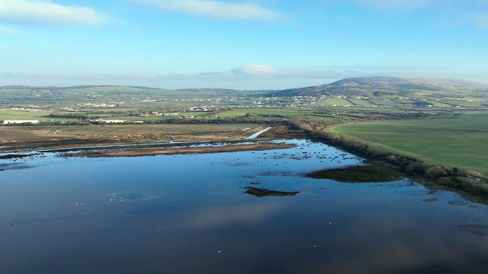 Inch Wildfowl Reserve