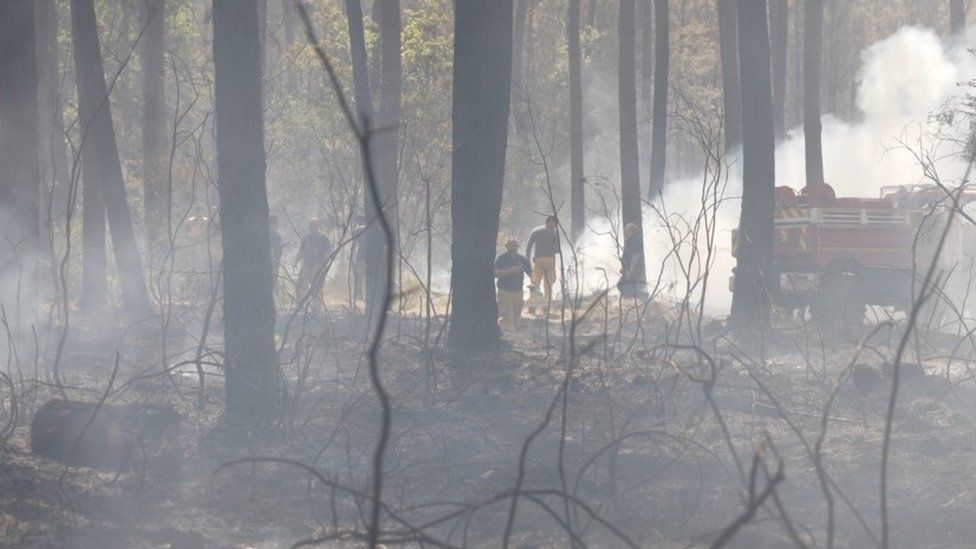 Smoke billows through trees as firefighters try to tackles the blazes