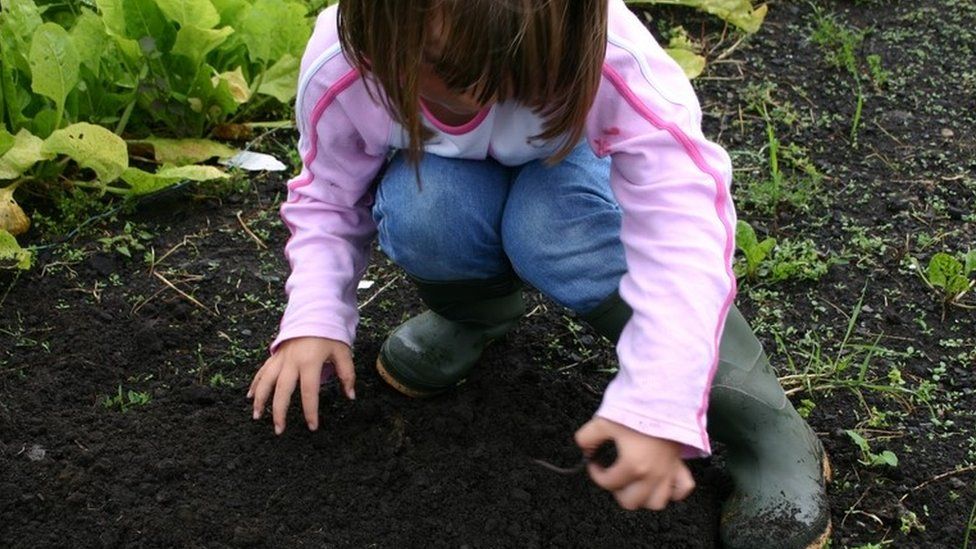little girl gardening