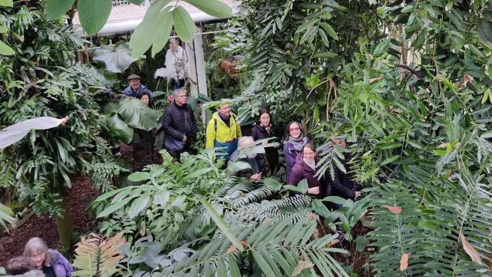 People in a glasshouse looking at a flower