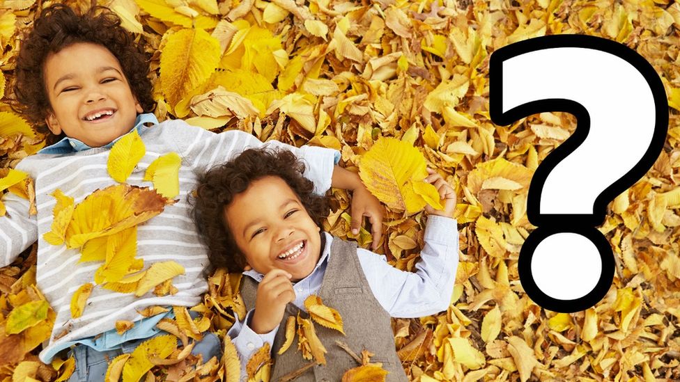 Two children smiling laying on leaves.