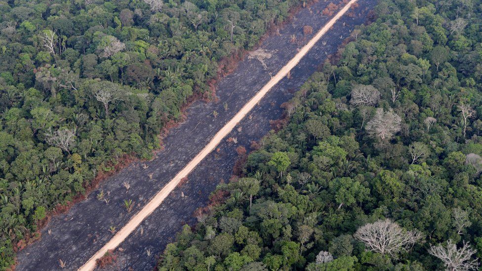 A road runs through a tract of burnt Amazon jungle near Porto Velho, Rondonia State, Brazil, 14 August 2020