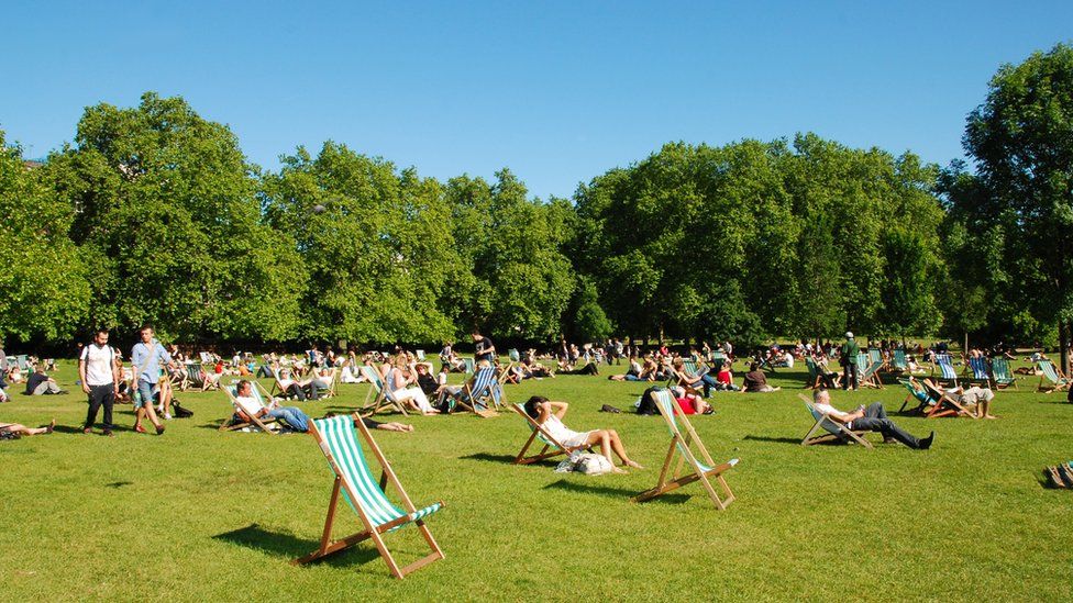 Hyde Park in the summer
