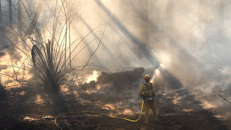 Firefighter battles a brush fire that broke out Friday afternoon on June 17, 2022 in Jurupa Valley, California.