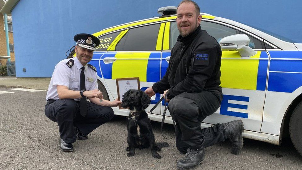 Police dog Marshall qualifying at Gloucestershire Constabulary