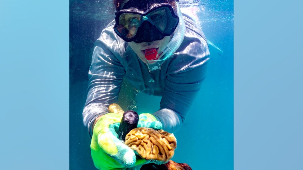 Alizee with a coral