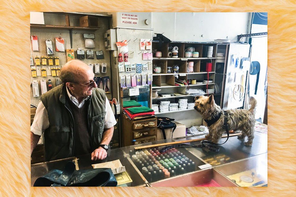 Maurice Dorfman and a dog in his shop