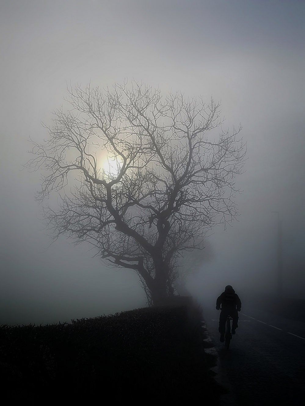 A cyclist on a foggy road in Billinge, Merseyside