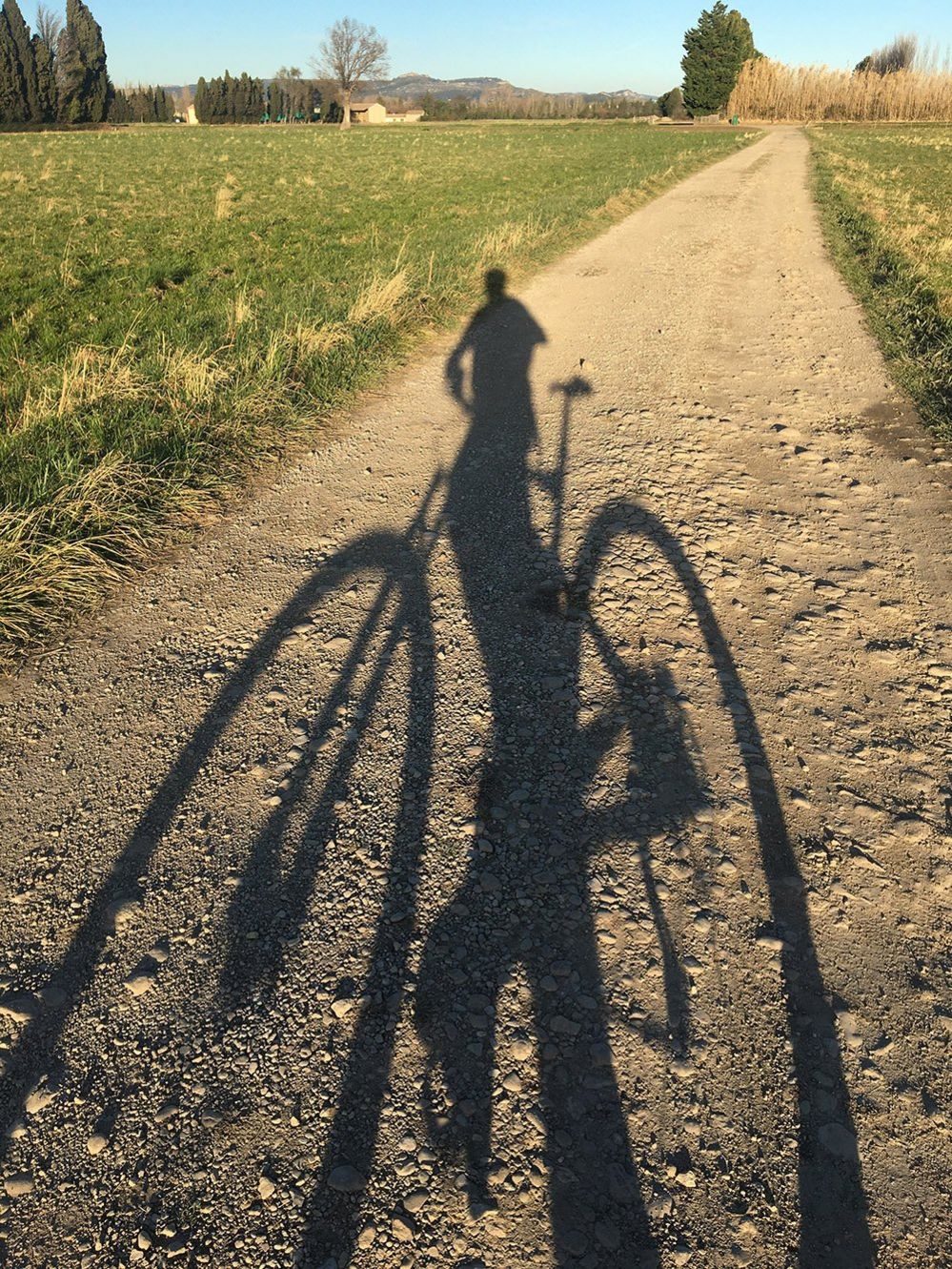 Shadow of a bicycle
