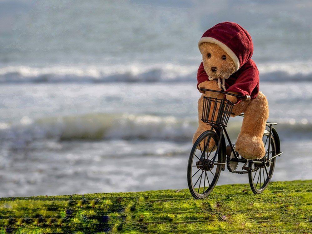A teddy bear riding a bike