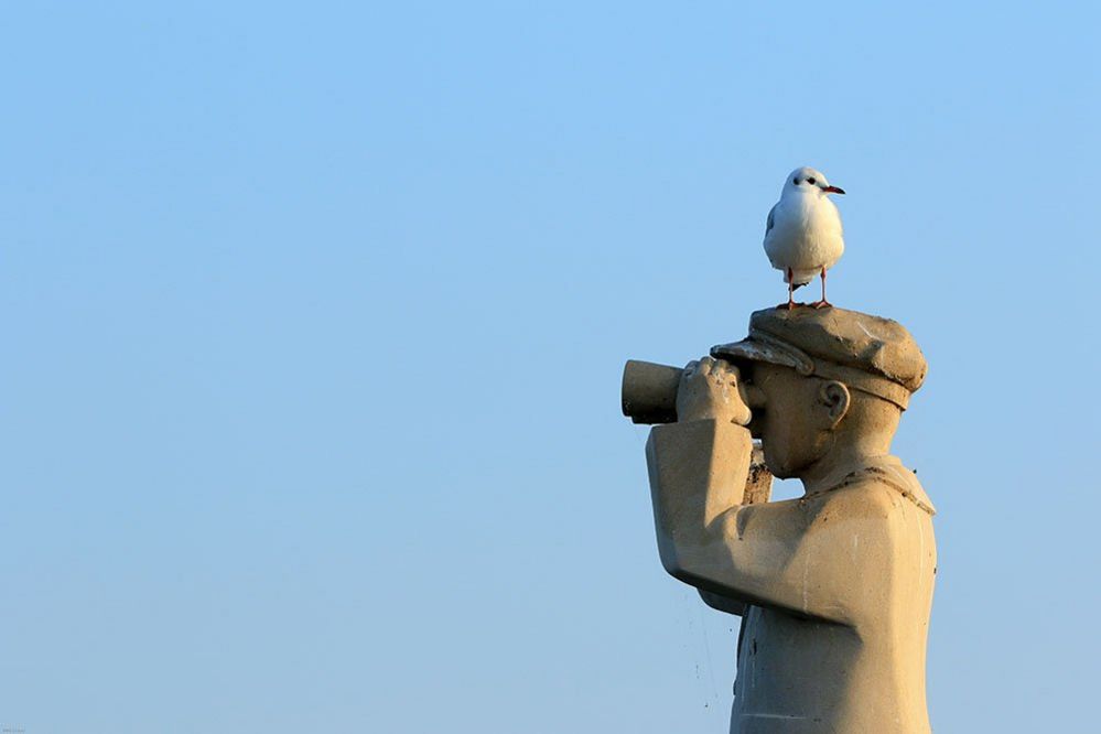 Sculpture with a seagull