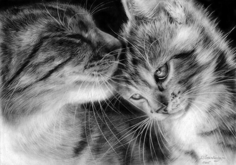 danguole-serstinskaja-giclee-art-print-for-sale-mom-cat-and-her-kitten-1.jpg