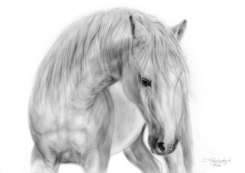 danguole-serstinskaja-giclee-art-print-for-sale-white-stallion.jpg