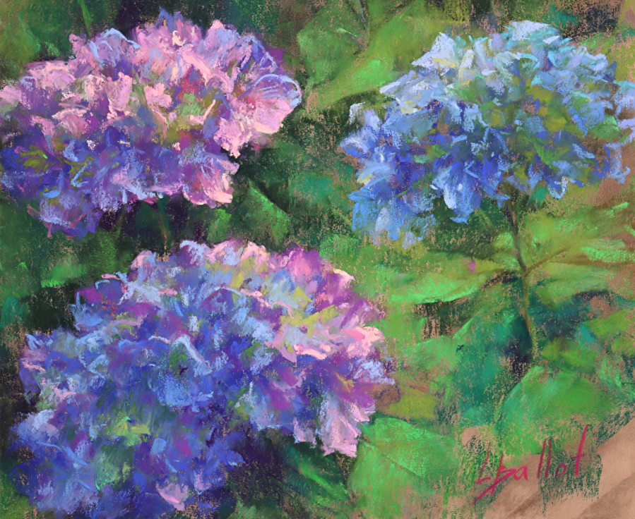 hydrangea.jpg