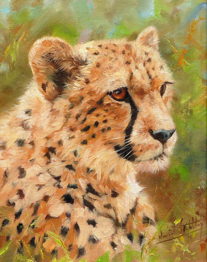 6-cheetah-david-stribbling.jpg