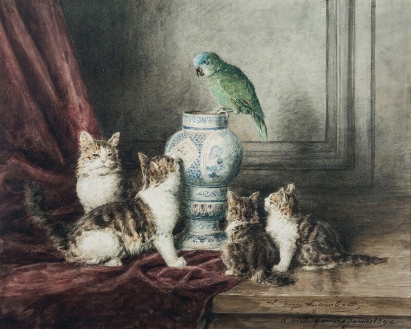 CHATS-CHATONS-ET-PERROQUET.jpg