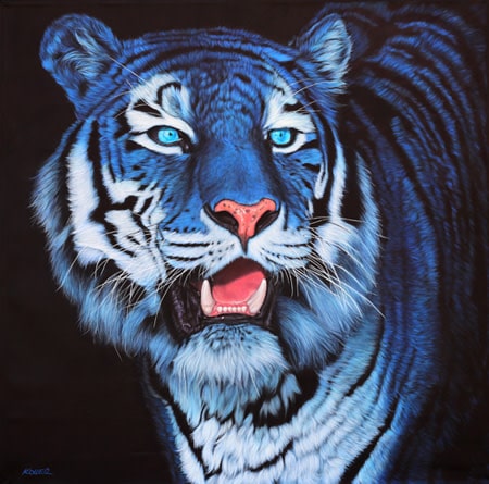 201204bluetigeronblackal135x135_z0hi3i-min.jpg