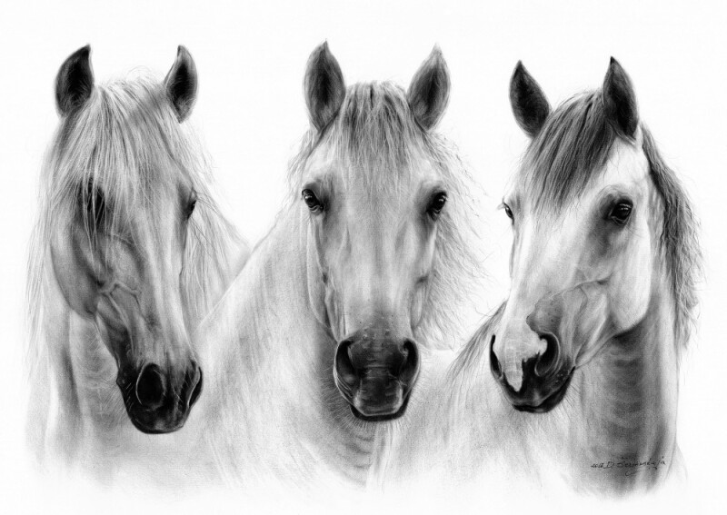 danguole-serstinskaja-giclee-art-print-for-sale-three-beautiful-horses.jpg