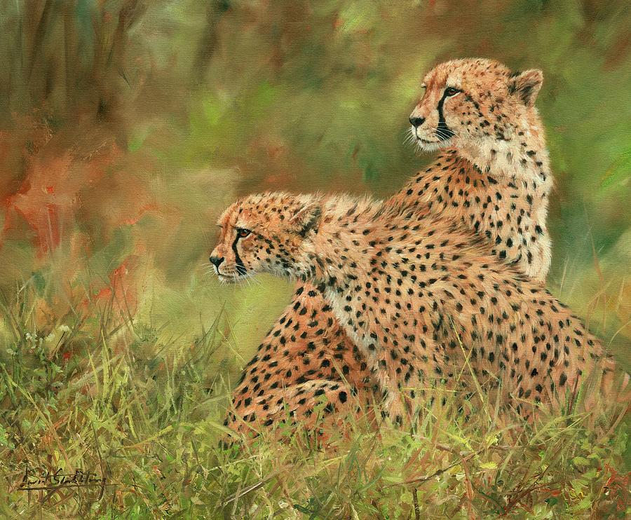 3-cheetahs-david-stribbling.jpg