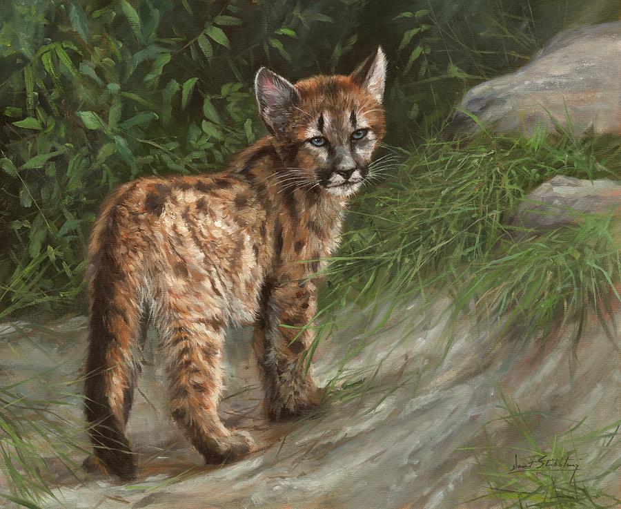 cougar-cub-david-stribbling.jpg