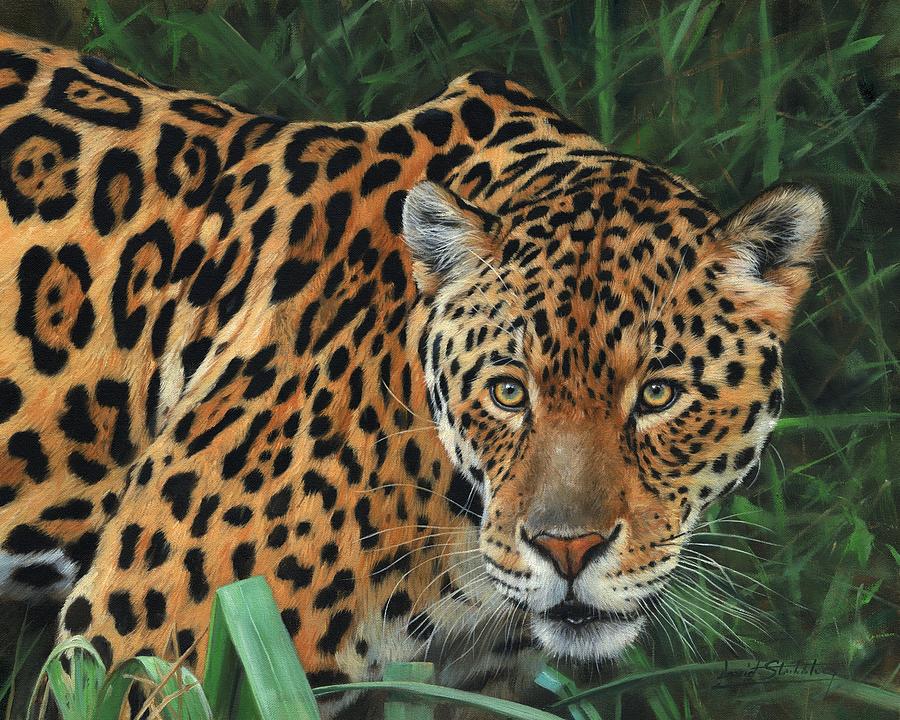 jaguar-alert-david-stribbling.jpg