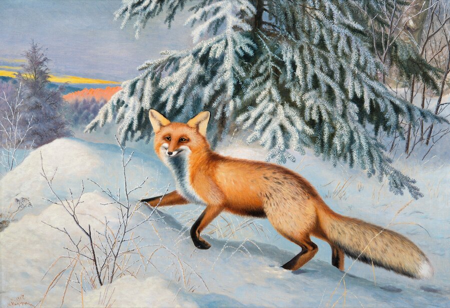 356666 painting art animals fox winter