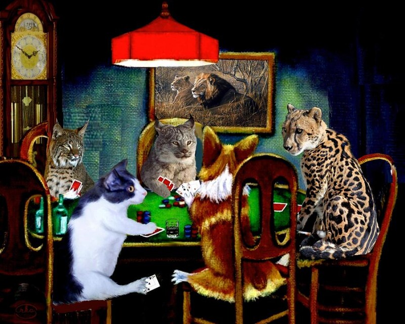 cats-are-wild-poker-ron-chambers.jpg