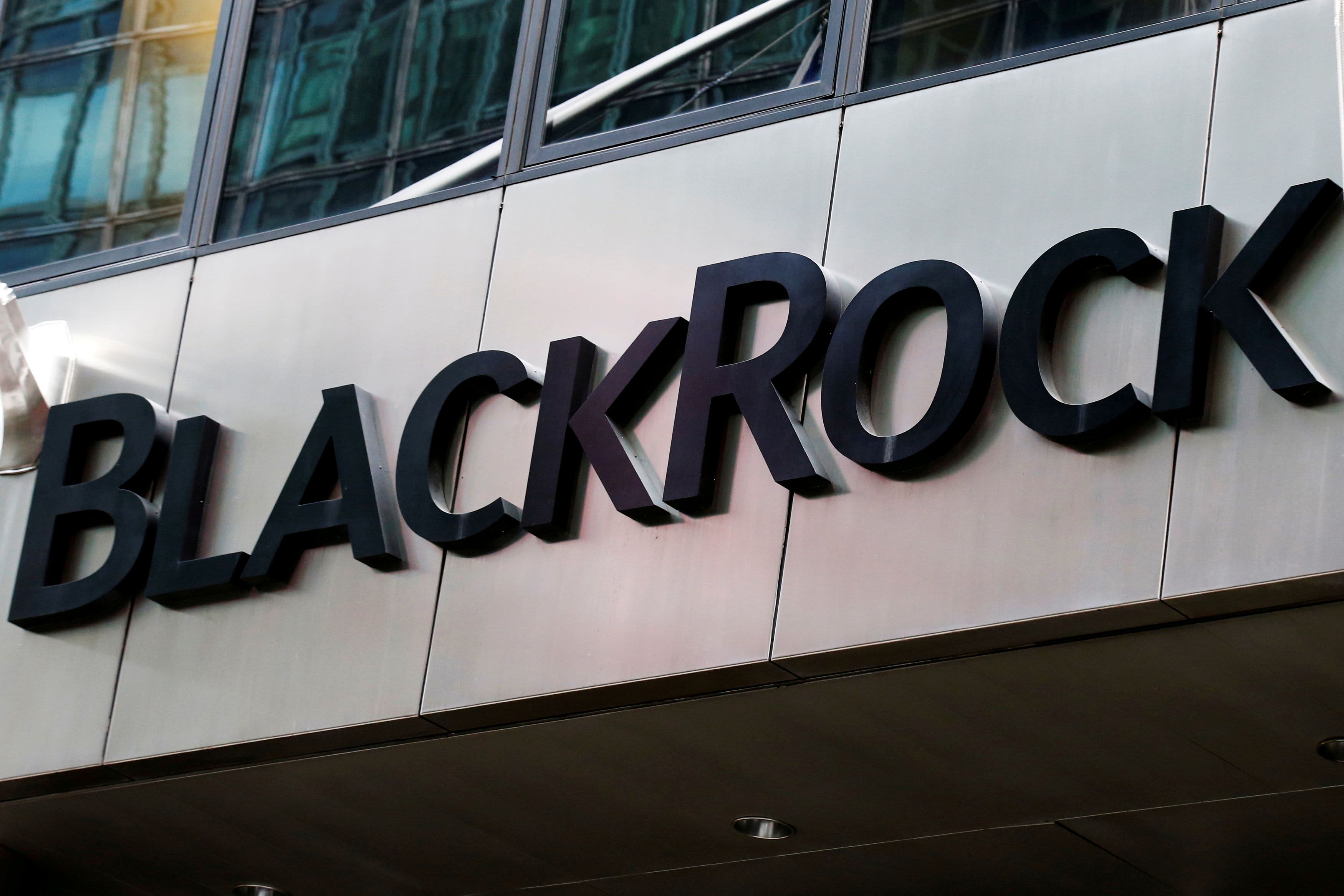 Global energy transition requires $4 trillion annually by next decade: BlackRock