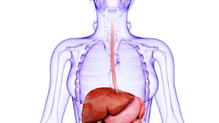 Morbus Crohn: Symptome, Ursache, Diagnose, Behandlung