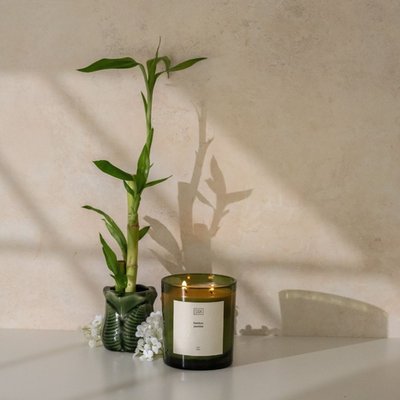 12 oz Double Wick Candle - Bamboo Jasmine