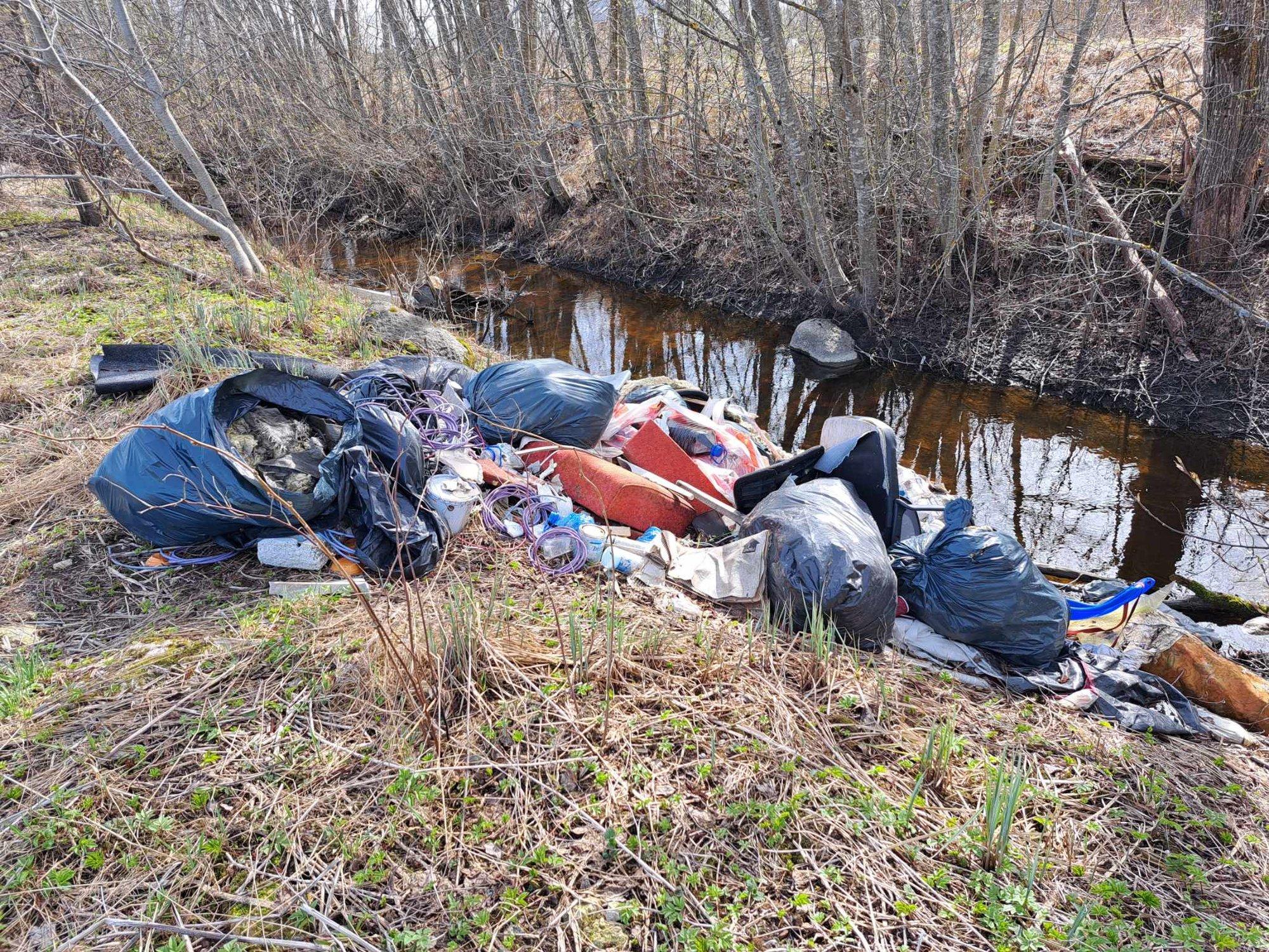 Illegaalse prügihunniku leidja: mitu korda peab ühest asjast teada andma?