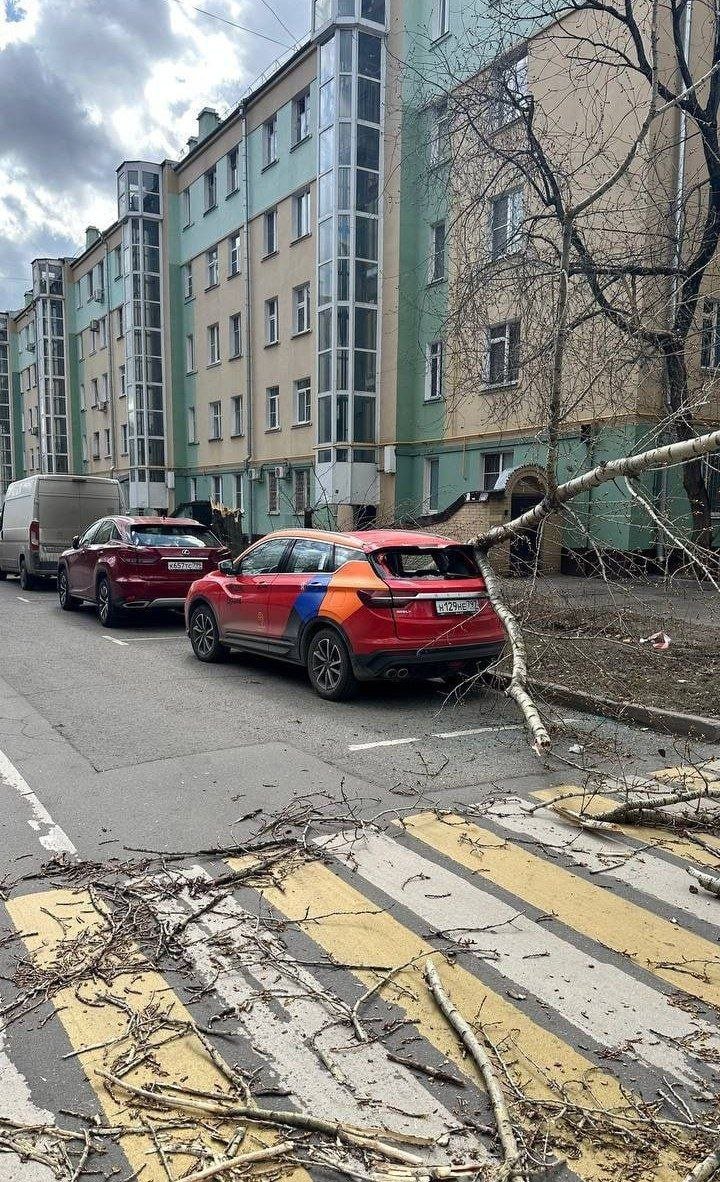 Два человека погибли из-за штормового ветра в Москве. Еще 15 человек пострадали