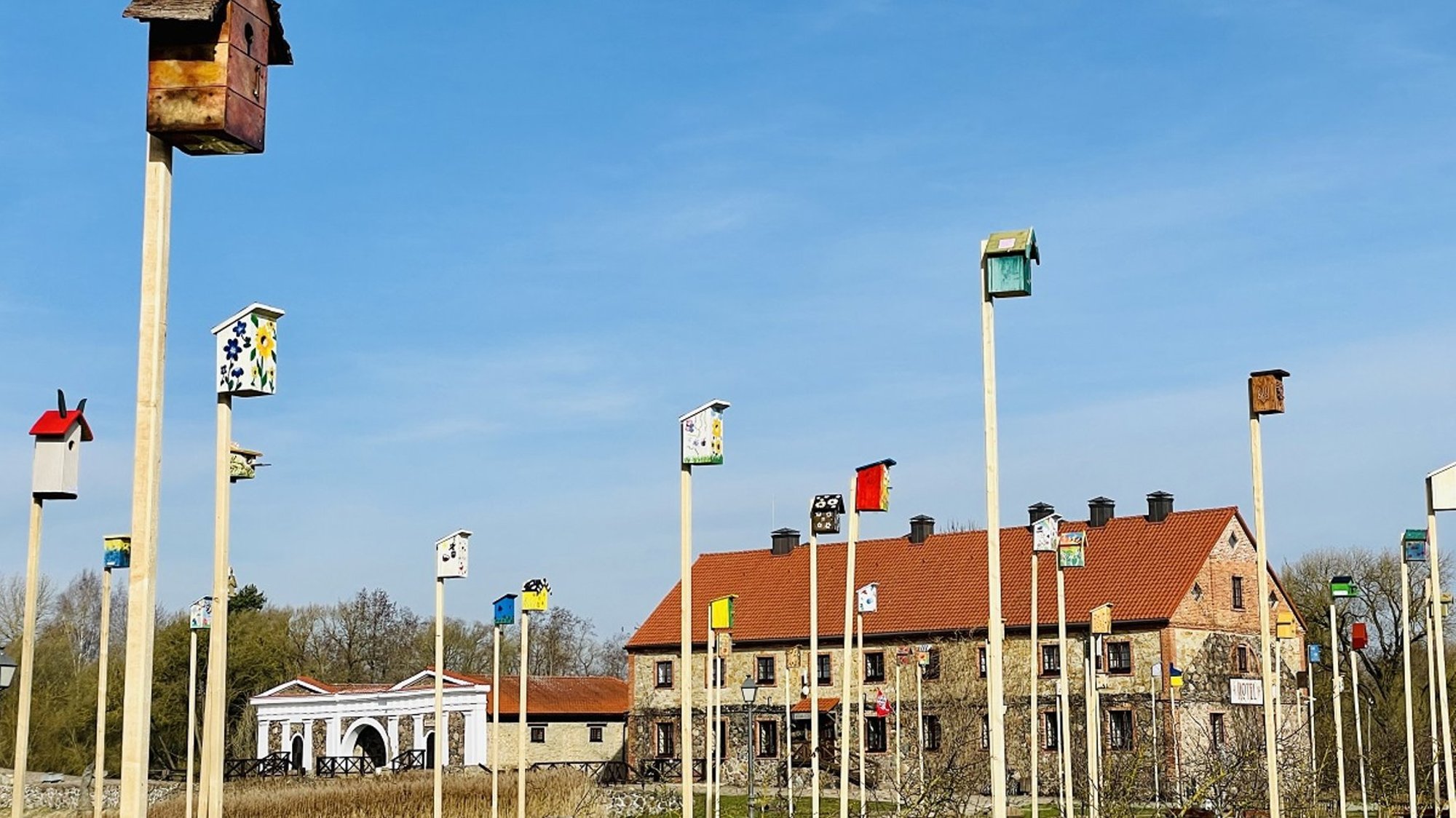 Такого еще не видели: в Северной Литве создали новый город для необычных жителей