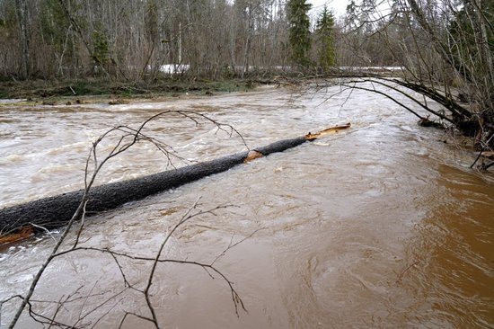 В Латвии затоплены поймы рек; уровень воды снизится на следующей неделе