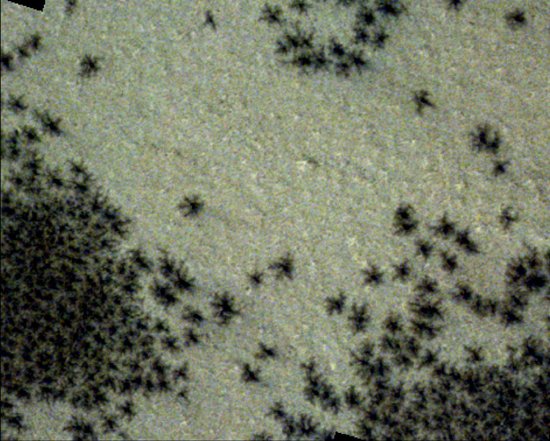 Marsa zondes uzņemtos attēlos redzami melni 'zirnekļi' – kas tie ir?