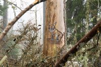 ФОТО. В Эстонии на деревьях обнаружили забавные изображения животных