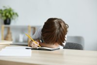 'Bērnudārznieks stresā': Satversmes tiesa sāk vētīt pāreju uz mācībām tikai latviski