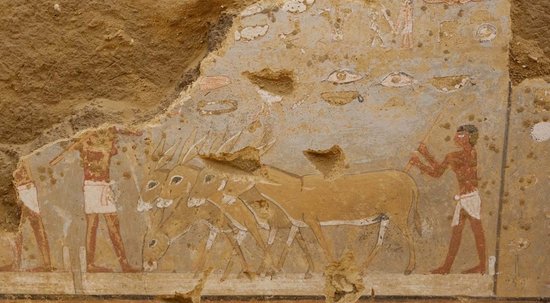 Neparasti krāšņas kapenes paver skatu uz 4300 gadus seniem notikumiem Ēģiptē