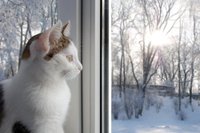 Спящий в зимнюю ночь: стоит ли оставлять окно открытым в холодное время года?