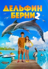 Постер к фильму Дельфин Берни 2 2019