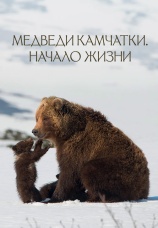 Постер к фильму Медведи Камчатки. Начало жизни 2018