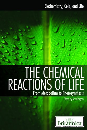 The Chemical Reactions of Life: From Metabolism to Photosynthesis (Biochemistry, Cells, and Life)
