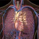 How Serious Is a Blood Clot in the Lungs?